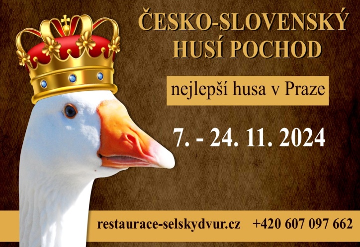 Foto: ČESKO-SLOVENSKÝ HUSÍ POCHOD aneb ta nejlepší husa v Praze